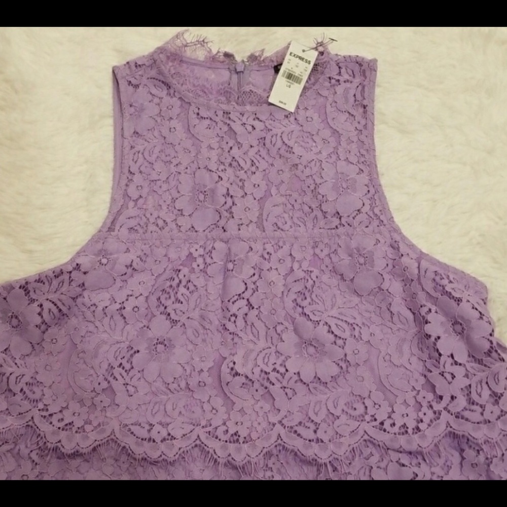 EXPRESS New Lace dress NWT $88 pastel GORGEOUS - Picture 4 of 5